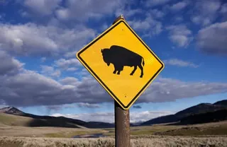 A bison crossing sign at Yellowstone national park