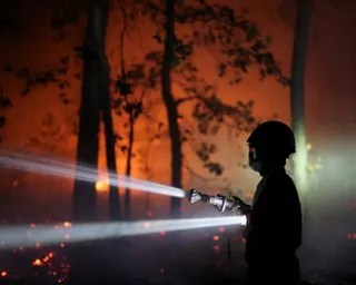 A night shot of a firefighter among trees silhouetted against an orange sky with a torch in one hand and a hose in the other