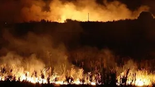 Algeria battles 19 wildfires as power restored after widespread outage