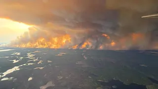 A photo taken from a plane showing green forest interspersed with bodies of water. In the distance is a fire covering the whole horizon and thick black billowing smoke