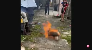 中国广东省揭阳市上月发生四名未成年人虐狗事件，一只母犬和它的三只幼崽分别被汽油活烧（图）和虐打致死。 （互联网）