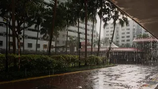 7月下半月多短暂雷阵雨 部分夜晚或闷热潮湿