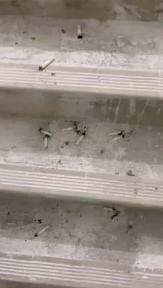 香港大埔宏福苑火灾独立委员会代表大律师的总结陈词，也公开了宏业建筑有限公司和顾问公司鸿毅在即使通讯软体WhatsApp群组中，楼宇的楼梯间有大量烟蒂。（图取自香港大埔宏福苑火灾独立委员会代表大律师总结陈词）