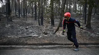 Un pompier travaille près d'arbres calcinés à la suite d'un incendie de forêt dans la région de la forêt de Fontainebleau, au sud de Paris, en France, mardi 14 juillet 2026.
