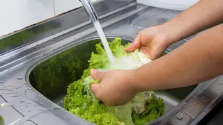 Person Washing Lettuce.