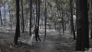 Un pompier arrose le sol après un incendie de forêt dans la région de la forêt de Fontainebleau, au sud de Paris, en France, mardi 14 juillet 2026.
