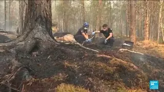Volunteer firefighter admits to starting a fire in the Fontainebleau forest