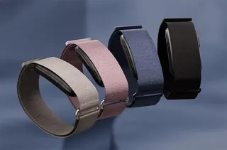 The Garmin Cirqa Smart Band pictures in all its color options.
