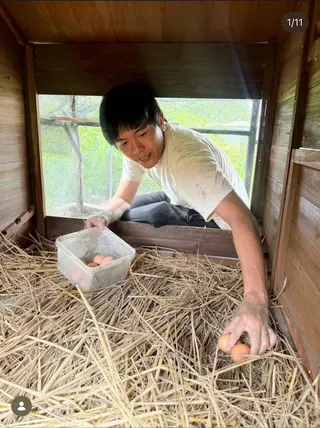 予島附近就有200坪菜園，養雞種水果，直送餐廳。取自IG@予島