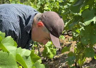 酒農艾米格（Othmar Elmiger）認為親手種植葡萄、釀葡萄酒，是一份充滿...