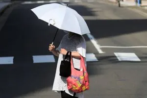 日本首見40度「酷暑日」 東京128人送醫、全國4死