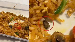 炒饭内惊见小蟑螂！食品局对事件展开调查