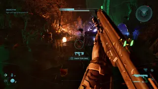 A shotgun in low light in a swamp area, first-person view, in Halo Campaign Evolved.