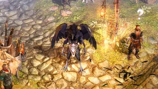 A screenshot of Grim Dawn's Fangs of Asterkarn expansion. A bipedal raven stands in a lantern-lit town.