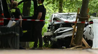 A white van is pictured crashed into a tree with police standing next to a car nearby