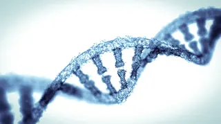 A Chinese university is looking into reports that a gene-editing trial caused the death of a six-year-old girl, which was not disclosed in the published research, the school said today. — AFP pic
