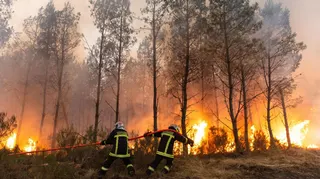 Two firefighters pull a red hose in front of a forest on fire.