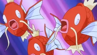 Three Magikarp Pokémon from the animated TV show