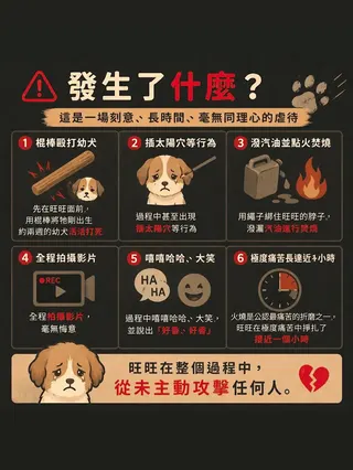 關注流浪動物議題的賴薇如，在Threads上看到了「旺旺事件」，讓她痛心不已，並呼籲大家要重視虐狗案。（翻攝自賴薇如IG）