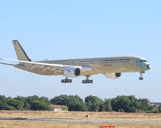 flight