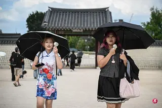 受持续高温影响，韩国7月12日首次发布了基于新预警系统的高温紧急警报，劝请民众避免户外活动。图为7月13日，首尔景福宫内，一些游客手持小风扇降温。 （法新社）