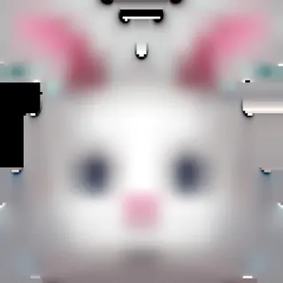🐰