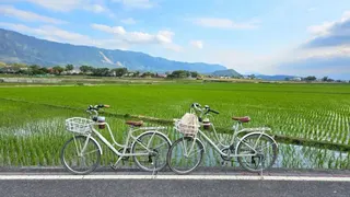 台灣池上