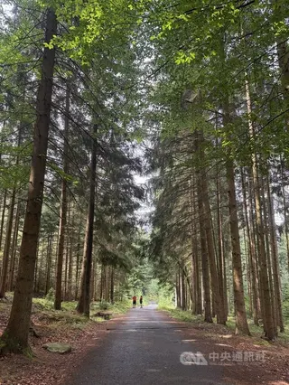 捷克再度迎來熱浪，各地氣溫逼近40度。捷克觀光局（Czech Tourism）建議，民眾可安排前往森林、公園及山區健行，享受較低氣溫與天然樹蔭。中央社記者劉郁葶舒馬瓦國家公園攝 115年8月2日