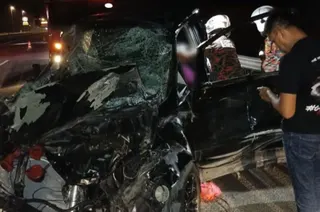 The Terengganu Department of Wildlife and National Parks (Perhilitan) is tracking a herd of wild elephants that was hit by a multi-purpose vehicle (MPV) at Km274.6 of the East Coast Expressway 2 (LPT2), near the Cheneh Toll Plaza interchange, last night.