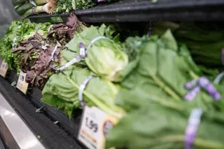 Lettuce in supermarket basket