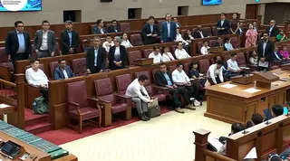 All 12 Workers’ Party MPs voted against the motion.