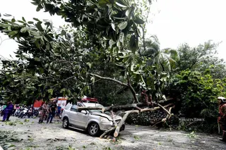 The Fire and Rescue Department recorded 1,912 fallen tree incidents in the first six months of this year, leaving four people dead and 20 injured. NSTP FILE PIC