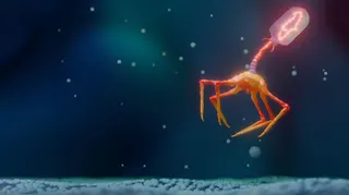 This image is a scientific illustration of a bacteriophage. The bacteriophage is shown floating above a textured surface, with a geometric head, a segmented tail, and multiple thin leg-like structures extending from its base. The virus is rendered in glowing red, orange, and pink tones that contrast sharply with the dark blue background. Small, out-of-focus particles are scattered throughout the scene, creating the impression of a microscopic environment. The composition emphasizes the unusual s
