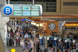 ICE突襲美國機場 頻有旅客被捕 這類人需特別注意