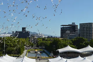 8月6日，在日本广岛和平纪念公园举行的原子弹爆炸81周年和平纪念仪式上，一群代表和平的鸽子在悼念活动中被放飞。（图取自时事通信社/法新社）