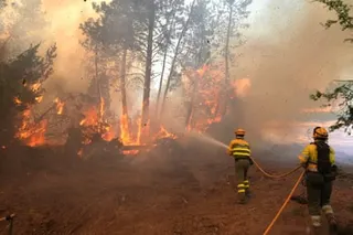 Firefighters direct a hose at burning trees.