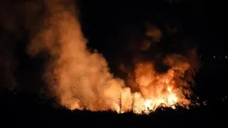UK considers disposable barbecue ban over wildfire risk