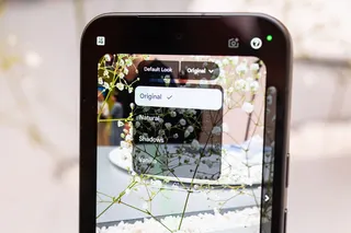 Image may contain Electronics Phone Mobile Phone Person and Plant