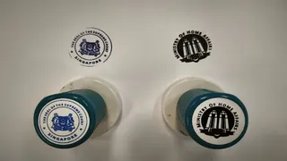 马国男子携伪造印章和工作证入境 涉诈骗明天被控