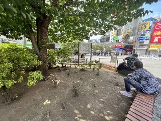 People and birds find relief from the sun in Tokyo's Nakano Ward earlier this month. While experts agree that urban greening is crucial to mitigating the impact of climate change, trees are becoming even more scarce in Japanese cities.