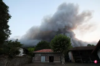 法国西南部卢格隆的朗德森林星期五（8月14日）凌晨发生野火，当地房屋旁的树林冒出浓烟。 （路透社）