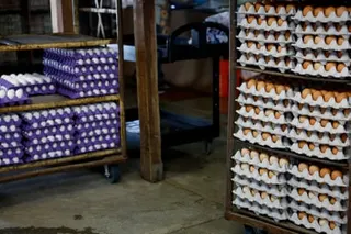 Stacks of eggs.