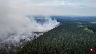 比利时星期五（8月14日）爆发的林火位于地形复杂的自然保护区内，救援团队难以通过常规手段接近火场，灭火行动高度依赖空中支援。这是比利时有记录以来规模最大的林火。 （法新社）