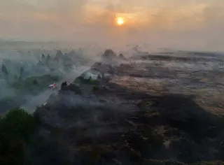 野火15日在鄰近德國邊界的高芬斯（High Fens）公園爆發並迅速蔓延。（路透...