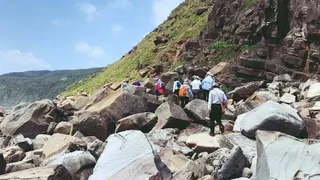 擅闯垦丁未开放区域 三人遭虎头蜂围攻两死一重伤