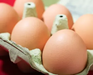 Six chicken eggs in an egg box
