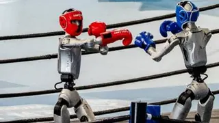 Humanoid robots show boxing skills