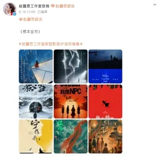 赵露思一口气买下九部影视IP，接下来还将兼做监制，掌握创作主导权。（互联网）