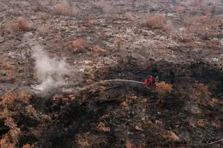 Firefighters put out hot spots in an area burned by wildfire in Pulang Pisau, Central Kalimantan Province, Indonesia.