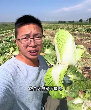 中国博主“渔猎齐哥”曝光黑心大白菜。（图取自微博）